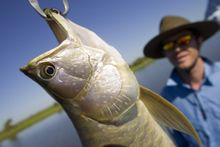 To fish or not to fish. When you visit the NT, there isn't really a question!