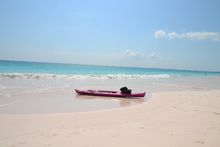 Pink Sands Beach