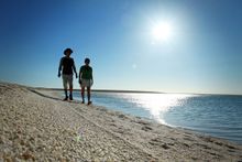 Shell Beach  