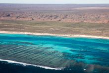 Ningaloo reef coastline