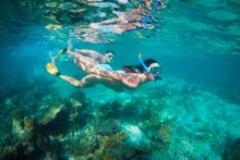 Snorkeling on Ningaloo Reef