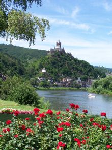 Walking the Moselle Trail - Solo Traveller Holiday