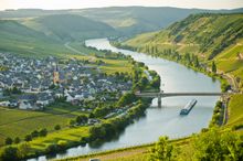 Walking the Moselle Trail - Solo Traveller Holiday