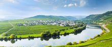 Walking the Moselle Trail - Solo Traveller Holiday