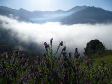 Walking from Competa - Solo Traveller Holiday