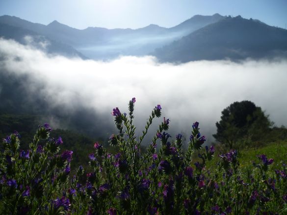 Walking from Competa - Solo Traveller Holiday