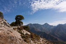 Walking from Competa - Solo Traveller Holiday