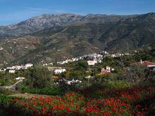 Walking from Competa - Solo Traveller Holiday