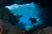 Diving at Tenggol Island 2