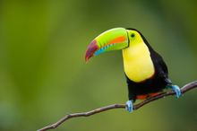 Costa Rica 