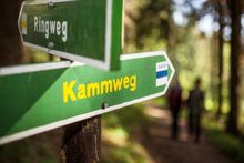 Markierung Kammweg Erzgebirge -Vogtland 