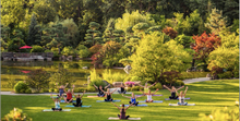 Yoga at Anderson Japanese Gardens