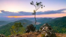 Luke's Bluff - Lamington National park 