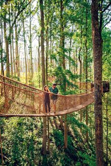 Anakeesta Aerial Adventure Park in Gatlinburg