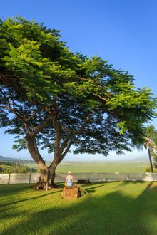 Plantation House 