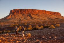 Walking to Mt Conner at Curtin Springs Station 