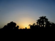 The renovated and refurbished Palm Beach Hotel & Bungalows is home to over 700 palm trees
