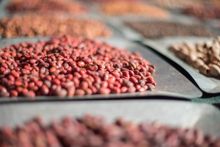 Karrke Cultural Tours serves up tasty treats