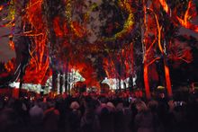 Perth Festival
