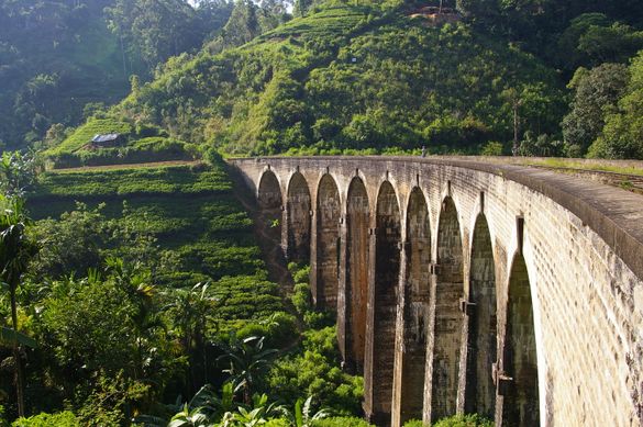 Sri Lanka 