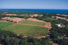 Wise Winery in the Margaret River Region