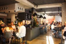 Mother Vine, Adelaide