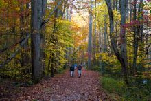 Hiking Near Cades Cove in the Great Smoky Mountains