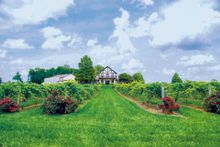 Beachaven Winery in Clarksville