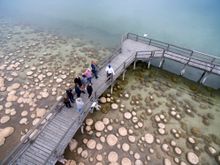 Mandjoogoordap Dreaming - Lake Clifton Thrombolites