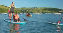 Stand Up Paddleboarding on the Salcombe Estuary