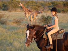 Family safaris, Ant Collection, South Africa