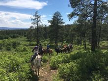 Hitting the summer trails on horseback, Majestic Dude Ranch, Colorado