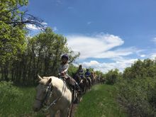 Family trail ride, Majestic Dude Ranch, Colorado