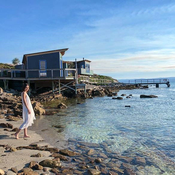 picnic island