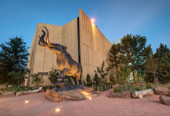The Denver Museum of Nature and Science is one of several top attractions included in the new Denver CityPASS® program.
