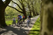Radfahrer am Neckar bei Heilbronn