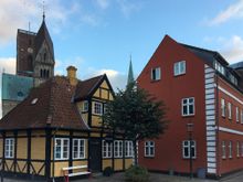 Ribe