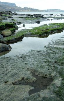 Footprints on Staffin beach, Isle of Skye