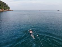 Swimming Portion of the Race
