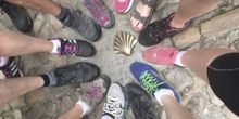 Camino guided tours