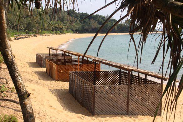 Three current hatcheries outside the Nelayan restaurant at Tanjong Jara Resort
