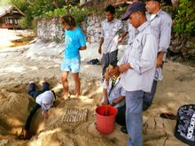 LTTW @ TJR staff, interns and rangers relocating the first nests of the 2018 season