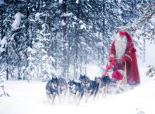 Husky Sledding with Santa at Rovaniemi