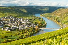 Stunning view of the river Moselle
