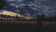 Field of Light, Uluru, Northern Territory