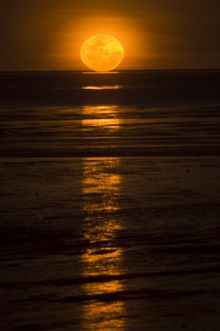 Staircase to the Moon, Broome, Western Australia