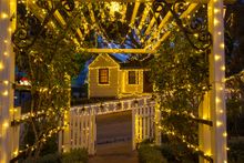 Winter Wonderlights