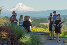 wine tasting at Pete's Mountain Vineyard with Mt. Hood in the background