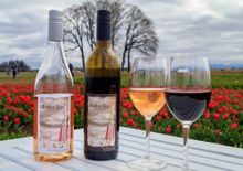 wine at Wooden Shoe Tulip Farm and Vineyard in Oregon