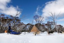 Photo courtesy of Alpine Nature Experience